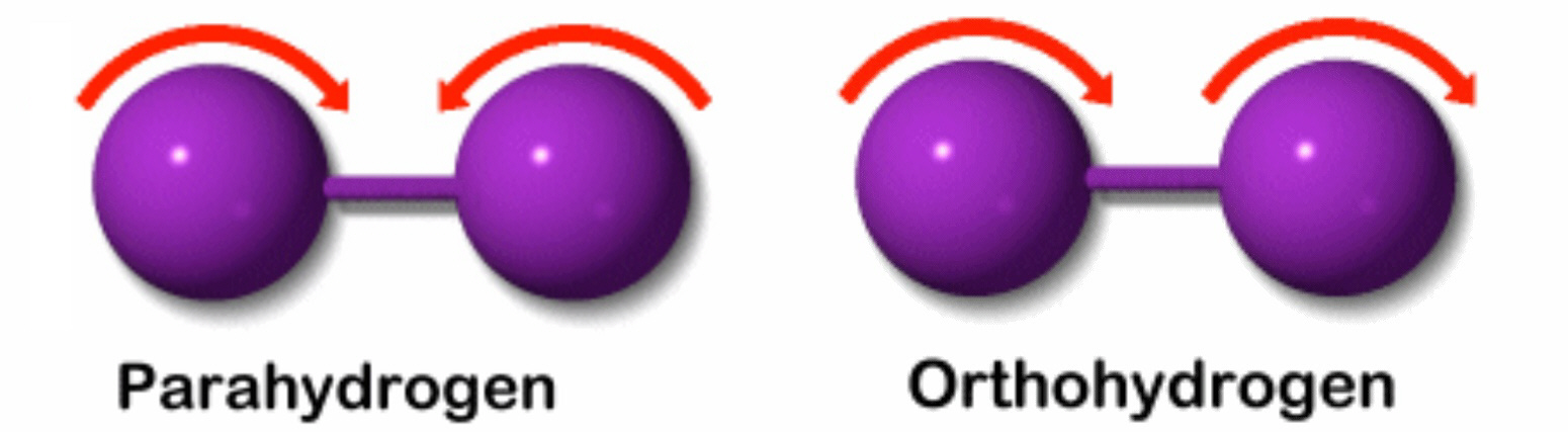 para and ortho dihydrogen