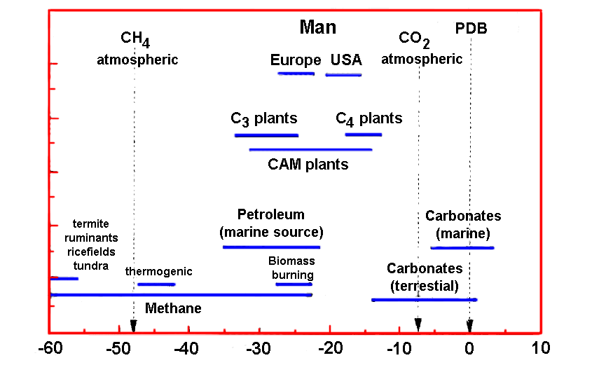 13C/12C ratio variation