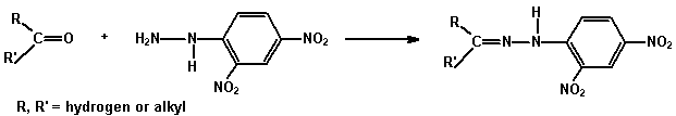 Brady's reagent