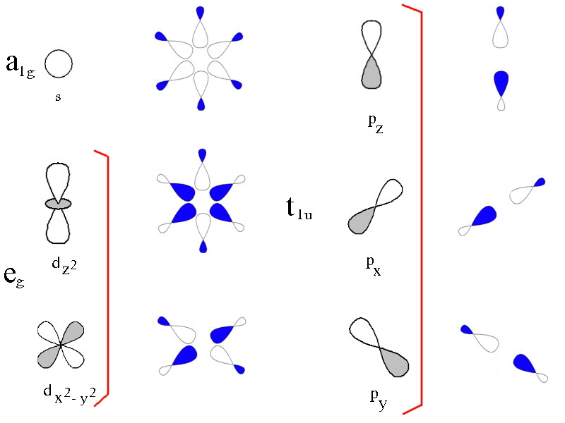 group orbital diagrams