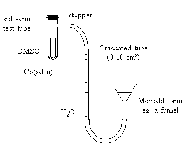 experimental setup